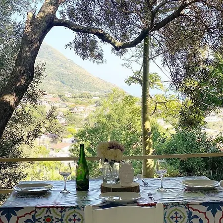 公寓式酒店 Il Giardino Di And 3*